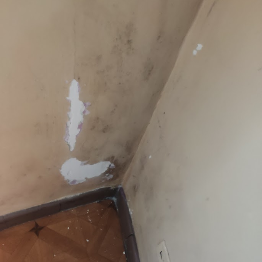 humedad en la pared, fontanero fugas de agua